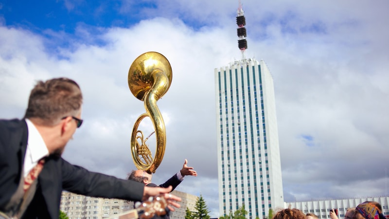 Яркие краски в серую погоду