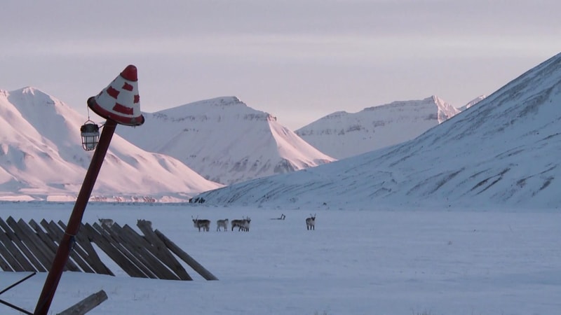 Арктический фестиваль кино