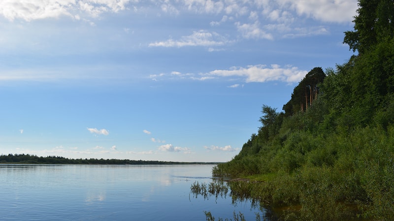 Города и люди: Шенкурск