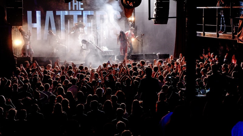 «Фига вы бешеные»